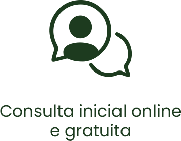 Consulta inicial